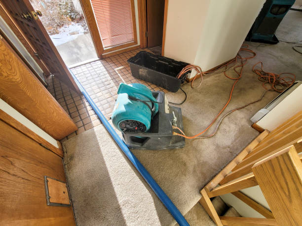 Best Water damage contractors near me  in Allentown, PA