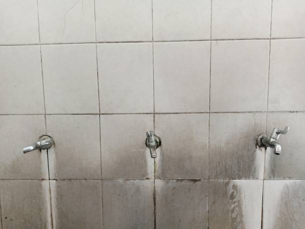 Best Basement water damage restoration  in Allentown, PA