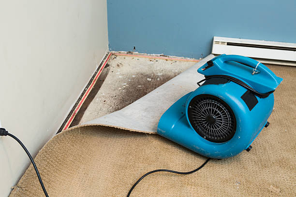 Best Ceiling water damage repair  in Allentown, PA
